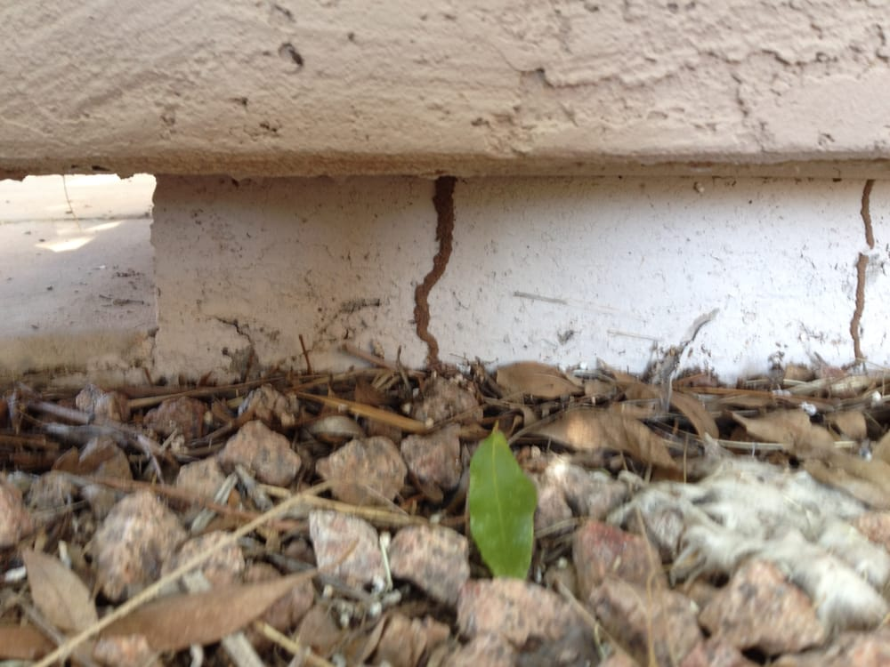 Convenient Termite & Pest Control project